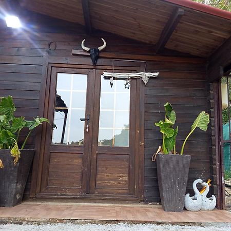 Centro Ecuestre Girasol Villa Chiclana de la Frontera Eksteriør billede